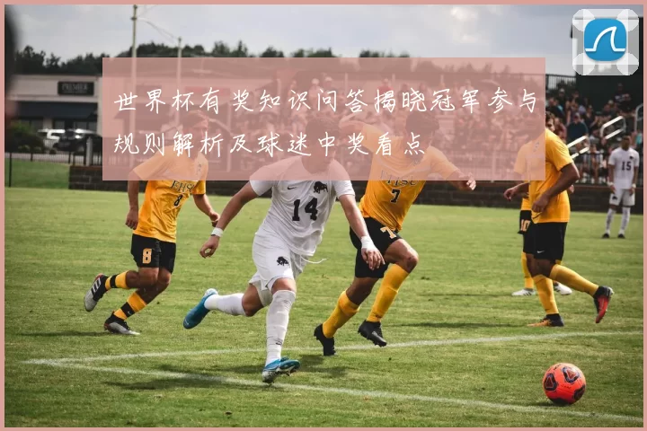 世界杯有奖知识问答揭晓冠军参与规则解析及球迷中奖看点
